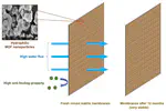 Long-term stable metal organic framework (MOF) based mixed matrix membranes for ultrafiltration