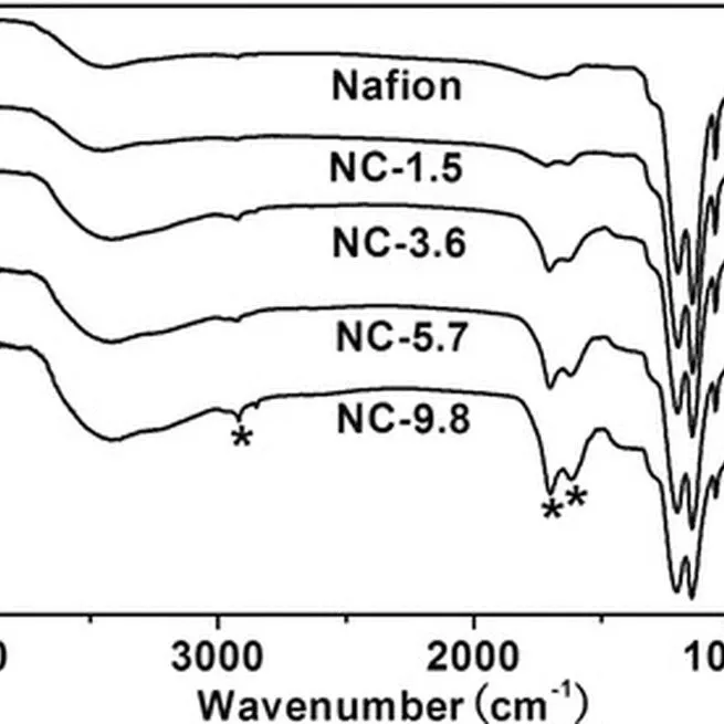 Nafion-carbon nanocomposite membranes prepared using hydrothermal carbonization for proton-exchange-membrane fuel cells