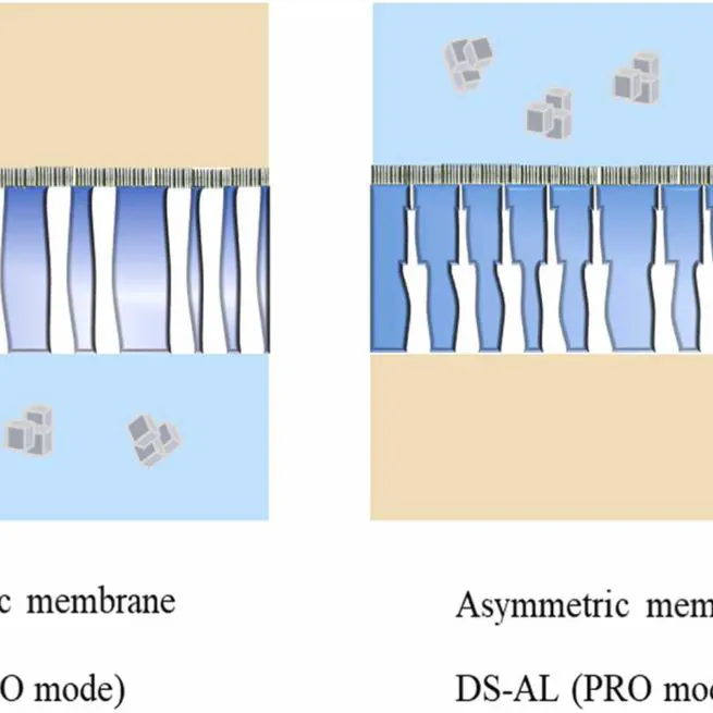 Potential application of hybrid forward osmosis – Membrane distillation (FO-MD) system for various water treatment processes