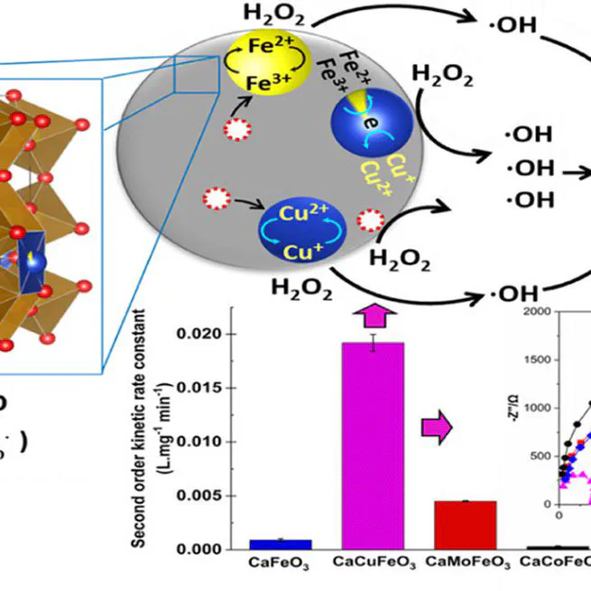 Functional role of B-site substitution on the reactivity of CaMFeO3 (M = Cu, Mo, Co) perovskite catalysts in heterogeneous Fenton-like degradation of organic pollutant