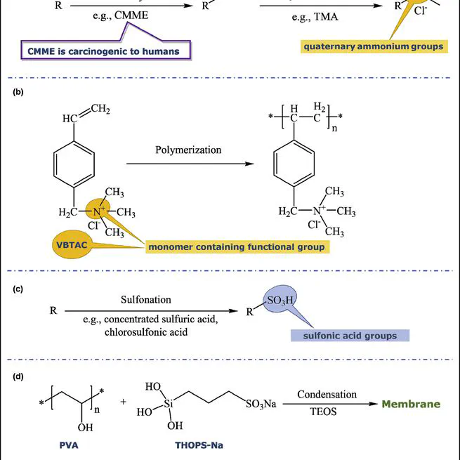 Green synthesis of polymeric membranes: Recent advances and future prospects