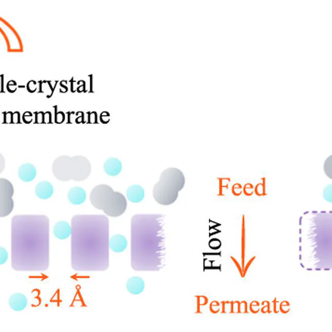 Gas permeation through single-crystal ZIF-8 membranes