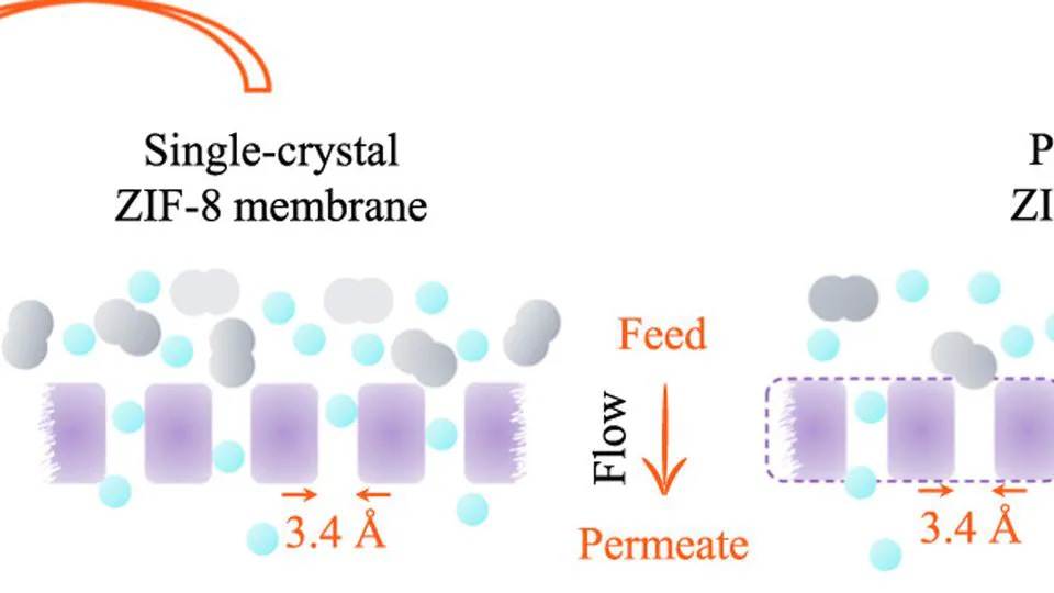 Gas permeation through single-crystal ZIF-8 membranes