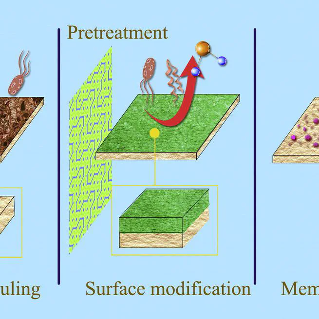 A review of reverse osmosis membrane fouling and control strategies