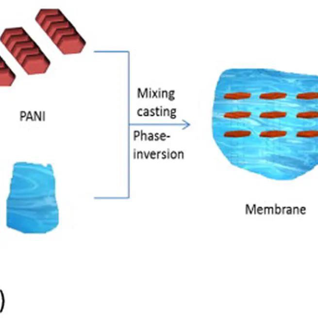 Synthesis and characterisation of superhydrophilic conductive heterogeneous PANI/PVDF anion-exchange membranes