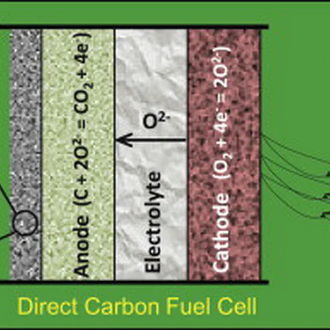 Direct carbon fuel cell operation on brown coal