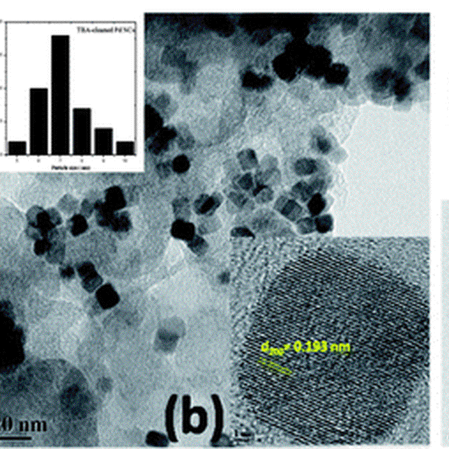 Removal of surfactant and capping agent from Pd nanocubes (Pd-NCs) using tert-butylamine: Its effect on electrochemical characteristics