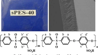 Preparation and characterization of sulfonated polyethersulfone for cation-exchange membranes featured image