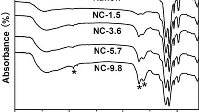 Nafion-carbon nanocomposite membranes prepared using hydrothermal carbonization for proton-exchange-membrane fuel cells featured image