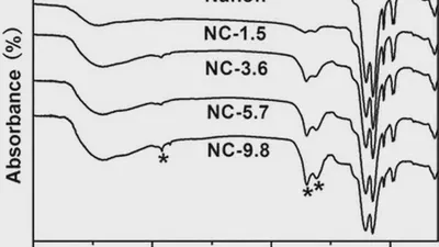 Nafion-carbon nanocomposite membranes prepared using hydrothermal carbonization for proton-exchange-membrane fuel cells featured image