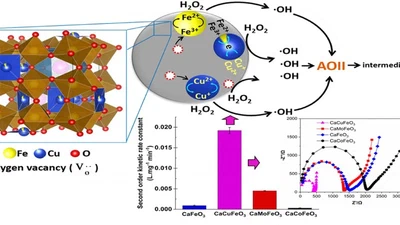Functional role of B-site substitution on the reactivity of CaMFeO3 (M = Cu, Mo, Co) perovskite catalysts in heterogeneous Fenton-like degradation of organic pollutant featured image