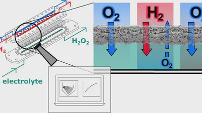 Investigation of mass transport processes in a microstructured membrane reactor for the direct synthesis of hydrogen peroxide featured image