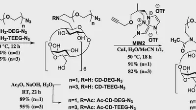 Nafion membranes modified by cationic cyclodextrin derivatives for enantioselective separation featured image