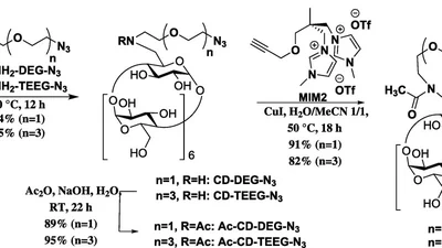 Nafion membranes modified by cationic cyclodextrin derivatives for enantioselective separation featured image