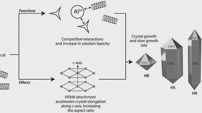 Polymer-assisted modification of metal-organic framework MIL-96 (Al): influence of HPAM concentration on particle size, crystal morphology and removal of harmful environmental pollutant PFOA featured image