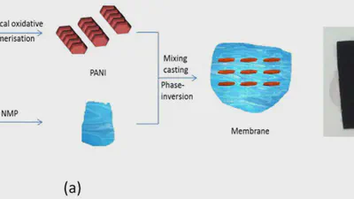 Synthesis and characterisation of superhydrophilic conductive heterogeneous PANI/PVDF anion-exchange membranes featured image