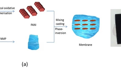 Synthesis and characterisation of superhydrophilic conductive heterogeneous PANI/PVDF anion-exchange membranes featured image