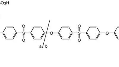 Cation exchange copolymer enhanced electrosorption featured image