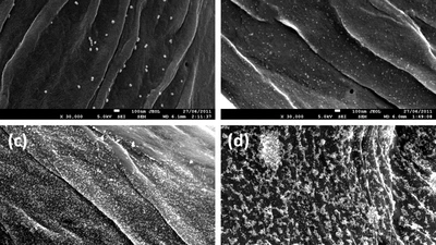 Gold nanoparticle-functionalized thread as a substrate for SERS study of analytes both bound and unbound to gold featured image