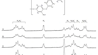 The effects of sulfonated poly(ether ether ketone) ion exchange preparation conditions on membrane properties featured image