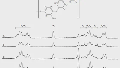 The effects of sulfonated poly(ether ether ketone) ion exchange preparation conditions on membrane properties featured image