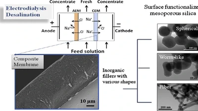The effects of aspect ratio of inorganic fillers on the structure and property of composite ion-exchange membranes featured image