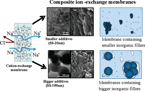 The influence of inorganic filler particle size on composite ion-exchange membranes for desalination featured image